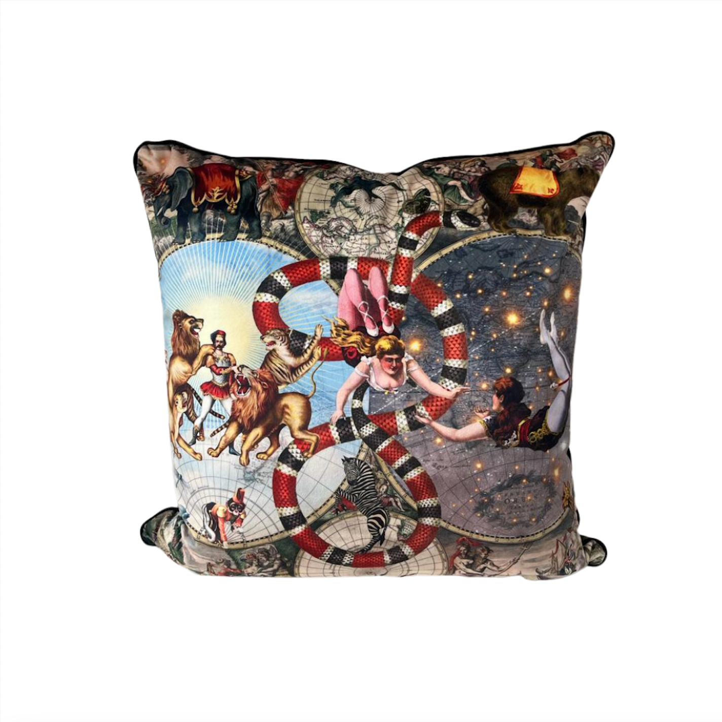 Luxury Maximalist Square Silk Cushion - Le Cirque du Monde Print
