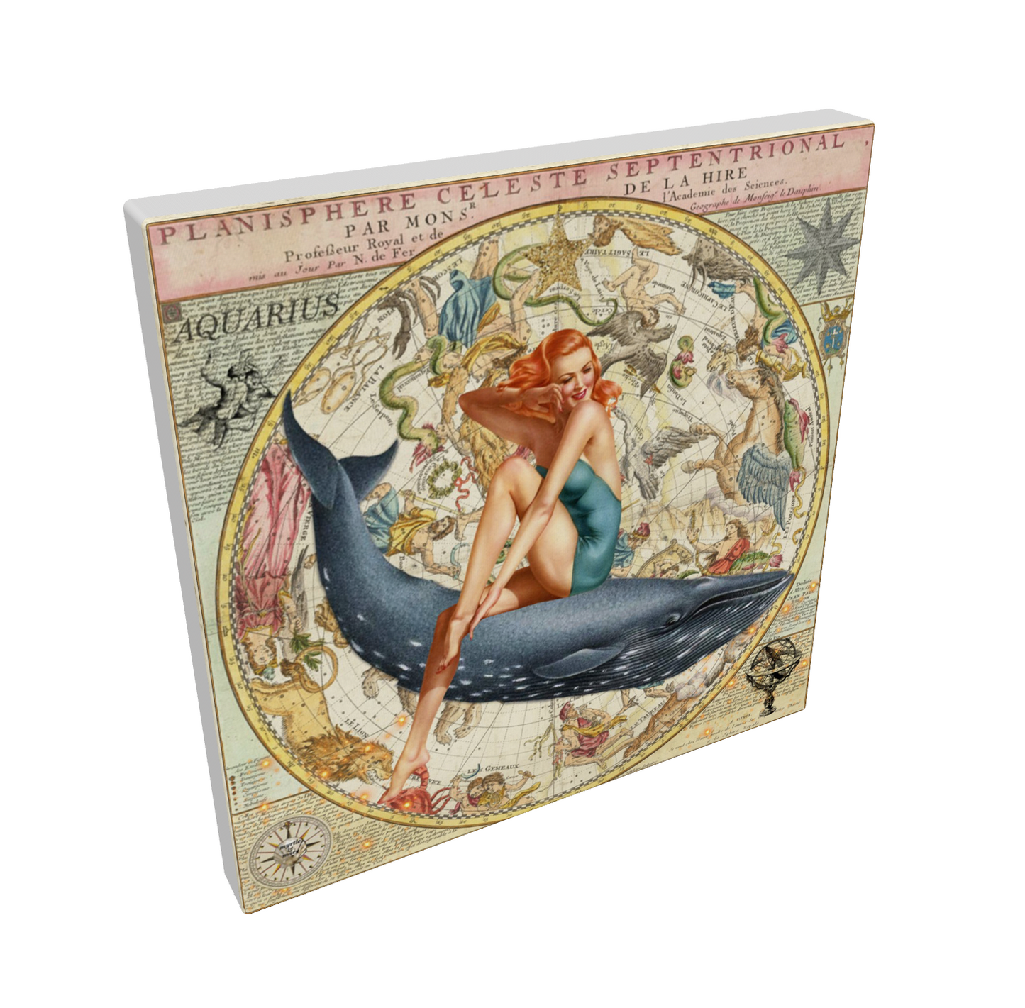Aquarius Zodiac Canvas
