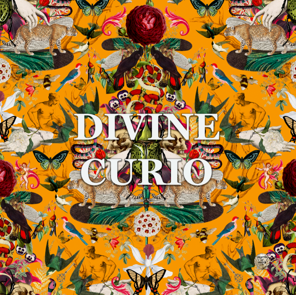 Regency Arm chair - Tropical Bomb