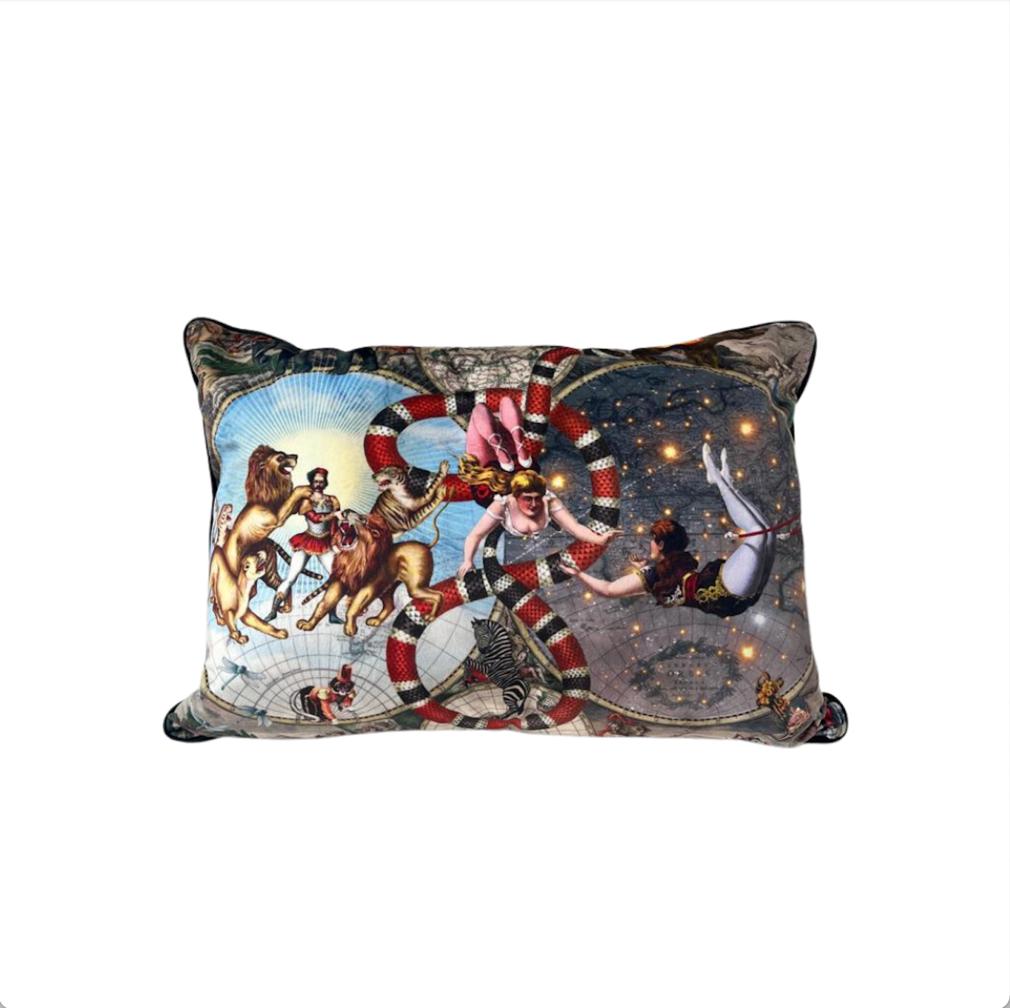 Luxury Maximalist Rectangle Silk Cushion - Le Cirque du Monde Print