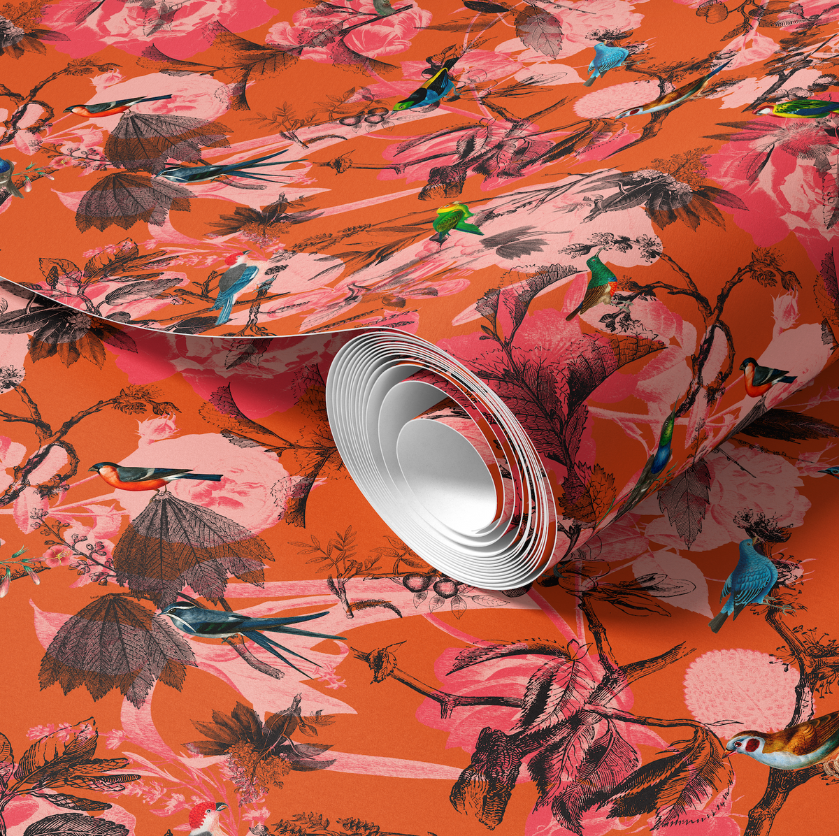 Bird Song Orange and Pink Wallpaper